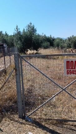 Οικόπεδο 277 τ.μ. για πώληση, Εύβοια, Λιχάδα-thumb-1