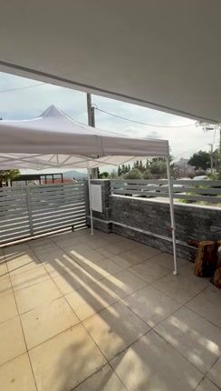 Επαγγελματική Τέντα Pop-Up Πτυσσόμενη Βαρέως Τύπου 40mm-thumb-1