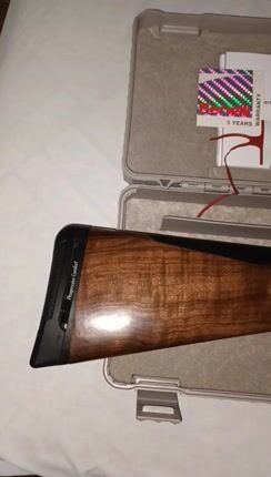 Benelli Silver A.I. Advanced Impact.-thumb-1