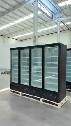 BLG LC 250 TN4 Inverter – Επαγγελματικό Ψυγείο Συντήρησης Plug In Άμεσα διαθέσιμο-thumb-1