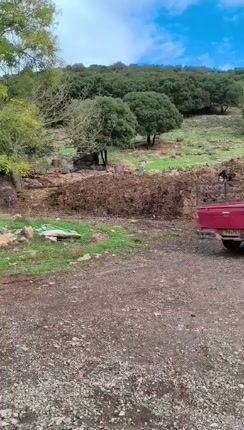 Χαρίζεται Κοπριά