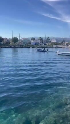 Fun Boats 2026 F480B ΕΥΡΩΠΑΙΚΩΝ ΠΡΟΔΙΑΓΡΑΦΩΝ-ΝΕΟΠΡΕΝ-thumb-1