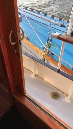 Ιστιοφόρο 1939 J-class "6 meter Class"-thumb-3