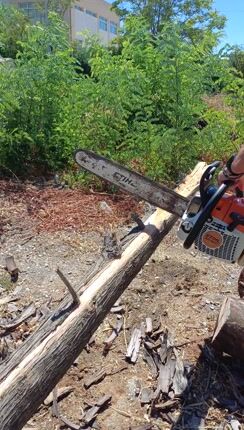 STIHL MS 362 C-thumb-1