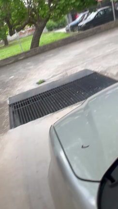 Suzuki Ignis 2004 DDIS-thumb-1