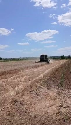 Θεριζοαλωνιστικές John Deere 1985 985 Η4  με Τρικουβέρτο και Καταστροφέα-thumb-1