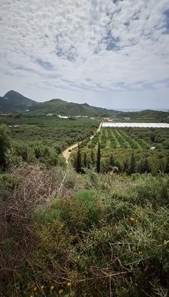 Οικόπεδο 12.700 τ.μ. για πώληση, Ν. Ρεθύμνου, Φοινίκας-thumb-1