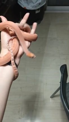 Cornsnake scaleless και terrarium-thumb-1