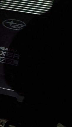 Subaru forester diesel-thumb-1