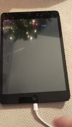 iPad mini-thumb-1
