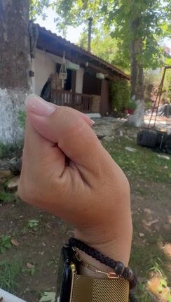 Sugar Glider - Ιπταμενο σκιουράκι-thumb-1