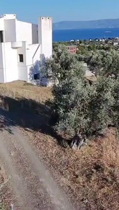 Βίλλα 605 τ.μ. προς πώληση, Κέντρο Ερέτριας-thumb-1