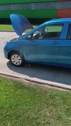 Suzuki Celerio 2017-thumb-1