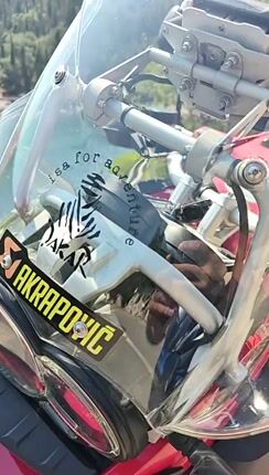 Bmw R 1200 GS 2009-thumb-1
